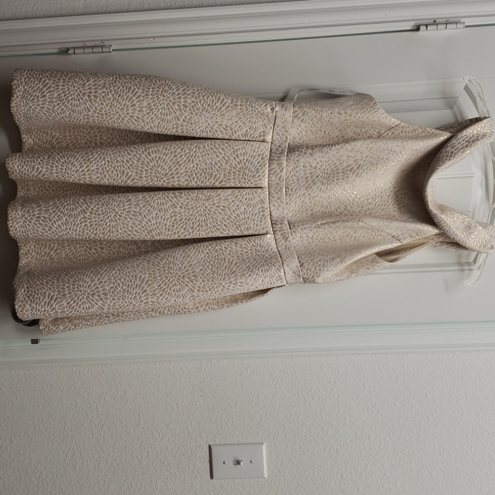David's Bridal dress